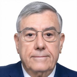 Manuel Perales Pérez